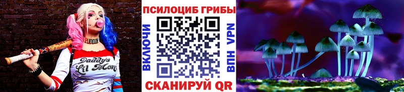 Галлюциногенные грибы GOLDEN TEACHER  Купить закладки  Микунь 